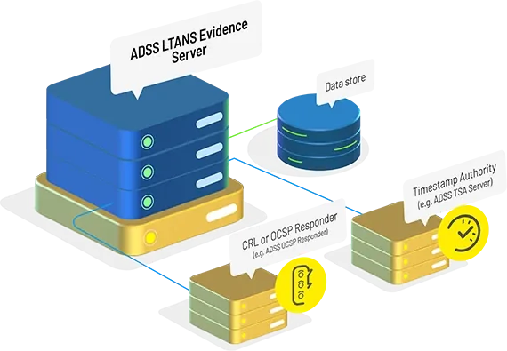 Ascertia-Schaubild: ADSS LTANS Evidence Server mit Archiv, Zeitstempel- und OCSP-Diensten