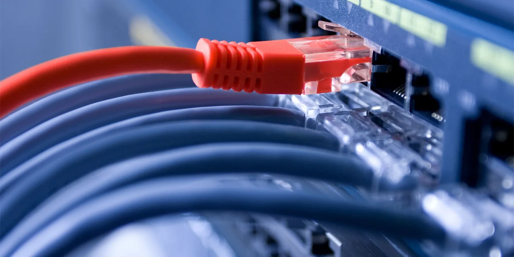 Vodafone-Motiv zur Konnektivität: Netzwerkkabel an einem Switch